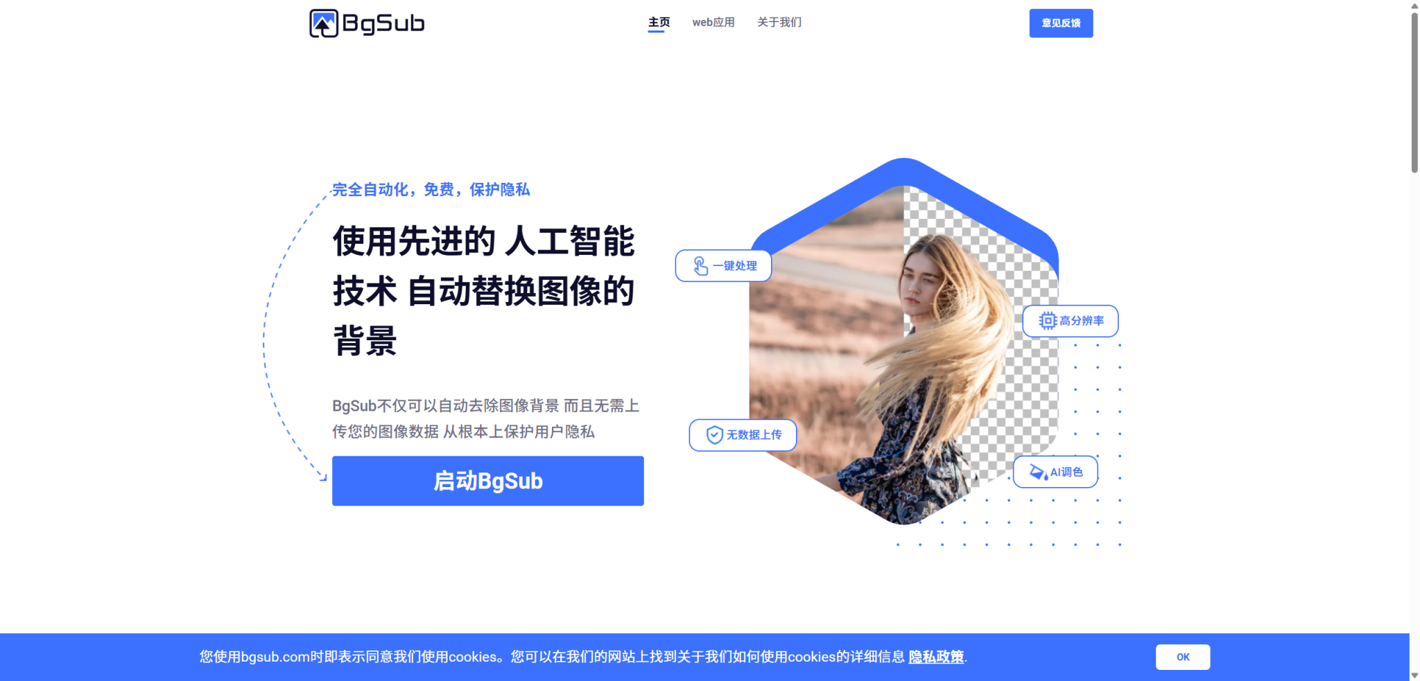 隐私优先、效率优先:BgSub AI 一键抠图工具,你的背景创意高速通道